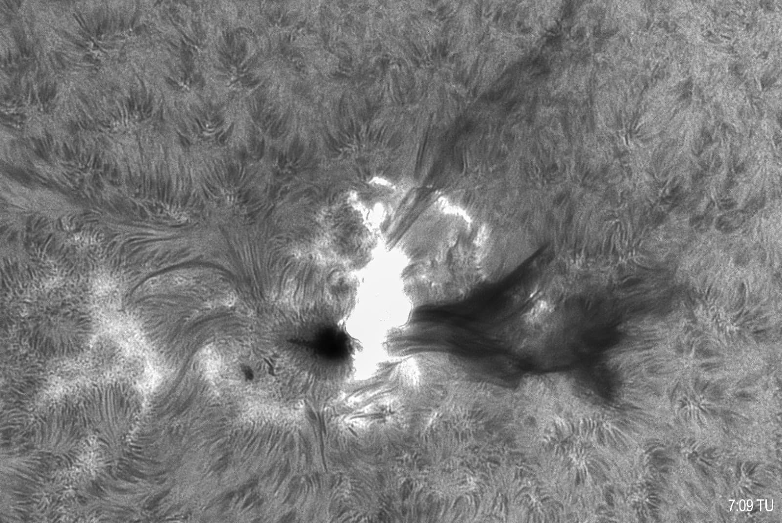 Gran erupción de clase M7 en el Sol — Pepe Manteca · Begues