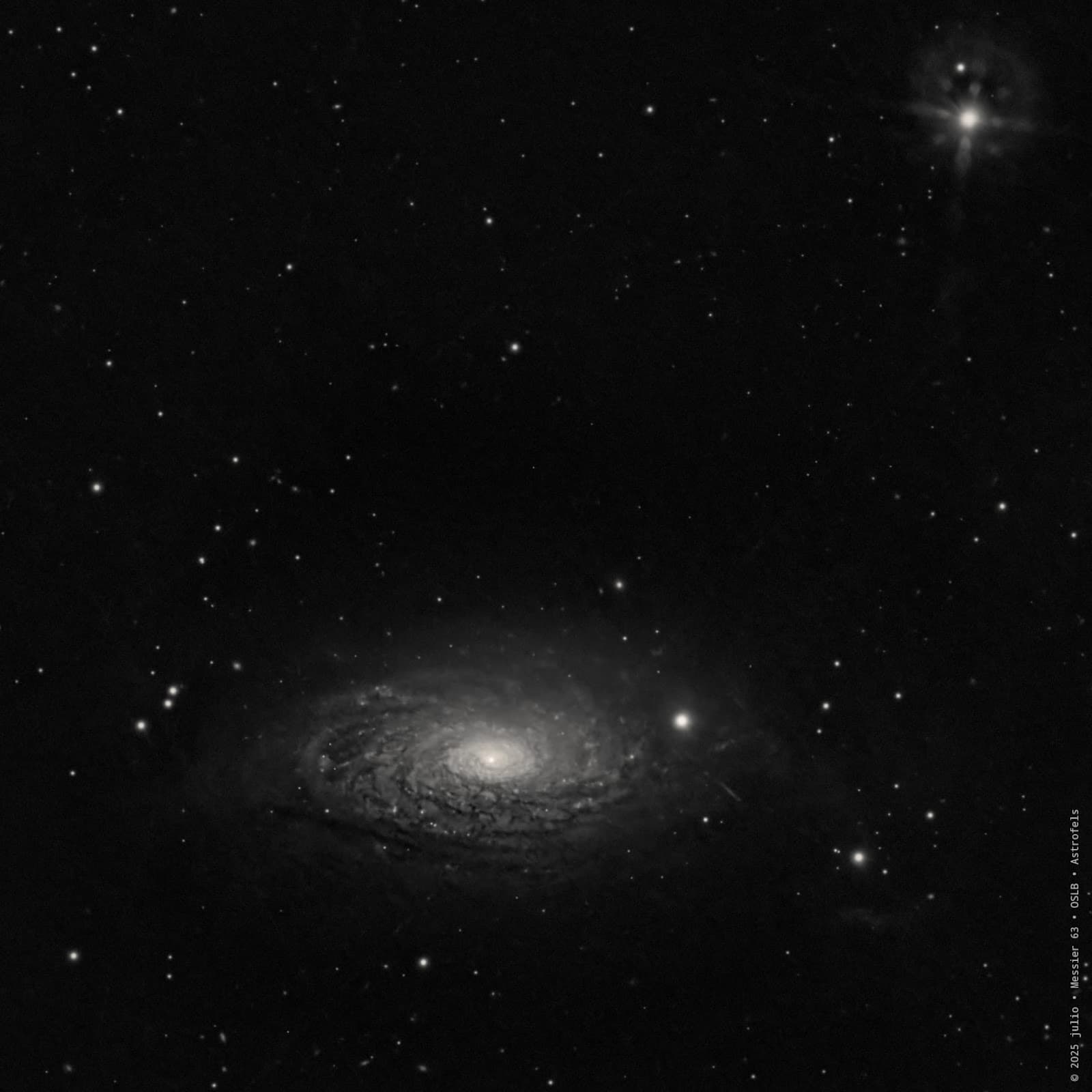 Galaxia del Girasol · M63 — Foto: J. Álvarez · J. M. Gómez · S. Vicedo
